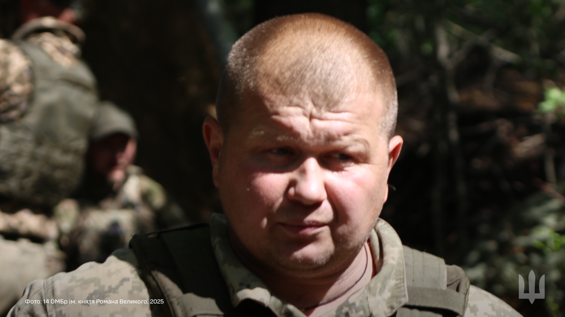 Обличчя князівської мужності